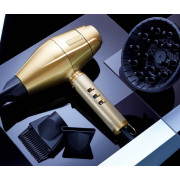 Babyliss Pro Gold FX Hair Dryer BABDG1H